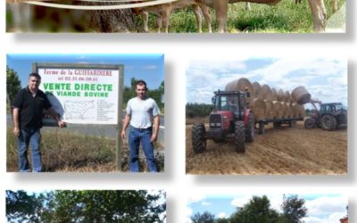 Colis de Bœuf Label Rouge 12 et 13 décembre  2023